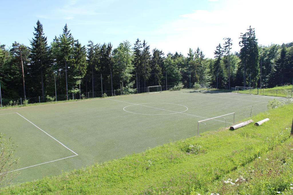 Apartma Pohorje Bolfenk 5010 Hočko Pohorje Zewnętrze zdjęcie